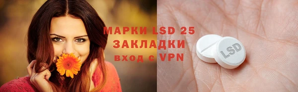 спайс Баксан