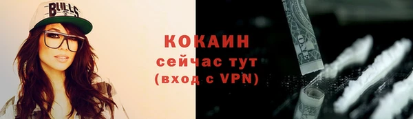 ПСИЛОЦИБИНОВЫЕ ГРИБЫ Балабаново