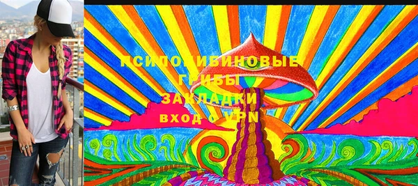 ПСИЛОЦИБИНОВЫЕ ГРИБЫ Балабаново