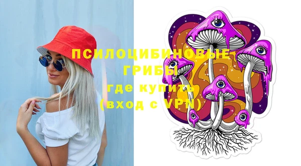 ПСИЛОЦИБИНОВЫЕ ГРИБЫ Балабаново