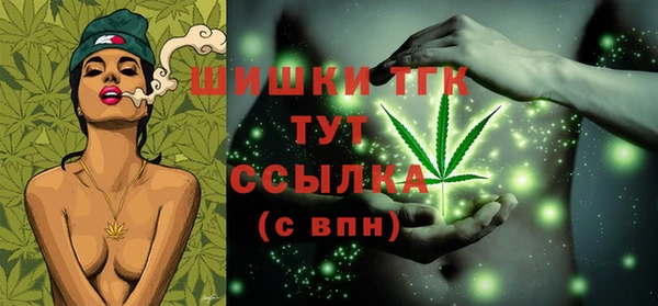 стаф Балахна