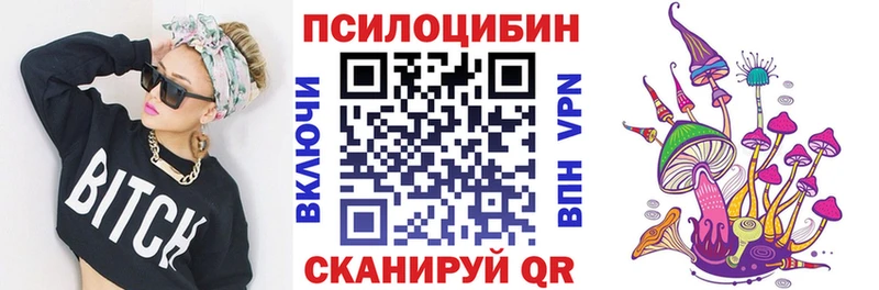 kraken ССЫЛКА купить наркоту Гвардейск Псилоцибиновые грибы Psilocybine cubensis